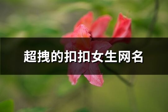 超拽的扣扣女生网名(共291个)