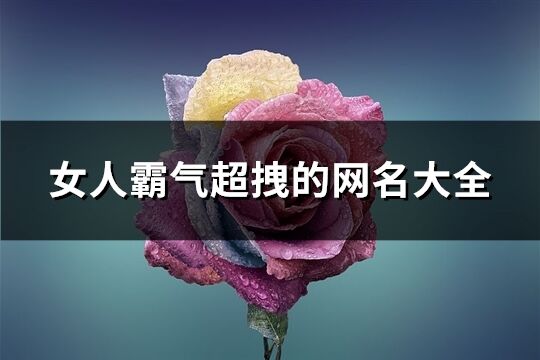 女人霸气超拽的网名大全(优选295个)