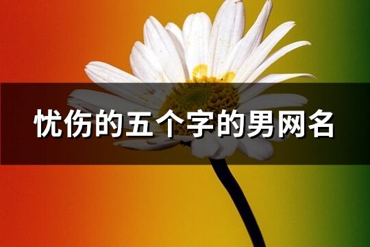 忧伤的五个字的男网名(共1149个)