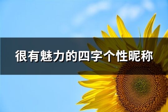 很有魅力的四字个性昵称(513个)