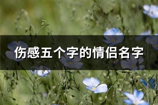 伤感五个字的情侣名字(576个)