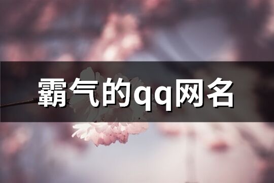 霸气的qq网名(共253个)