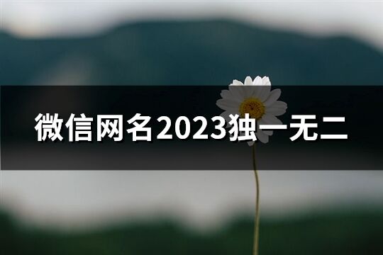 微信网名2023独一无二(精选87个)