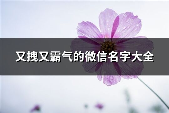 又拽又霸气的微信名字大全(精选261个)