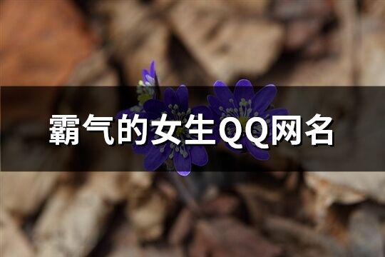 霸气的女生QQ网名(188个)