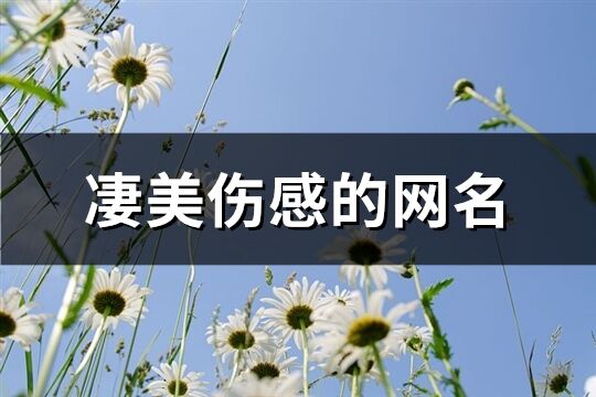 凄美伤感的网名(优选342个)