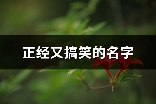 正经又搞笑的名字(292个)