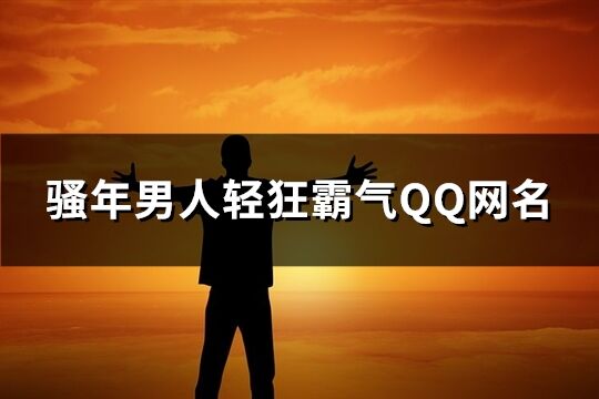 骚年男人轻狂霸气QQ网名(优选294个)