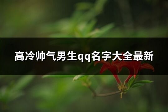 高冷帅气男生qq名字大全最新(优选580个)