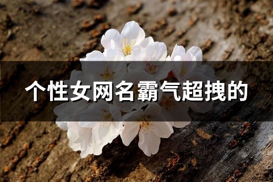 个性女网名霸气超拽的(精选73个)