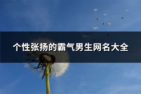 个性张扬的霸气男生网名大全(精选201个)