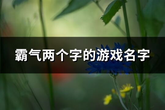 霸气两个字的游戏名字(精选442个)