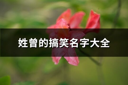 姓曾的搞笑名字大全(共712个)