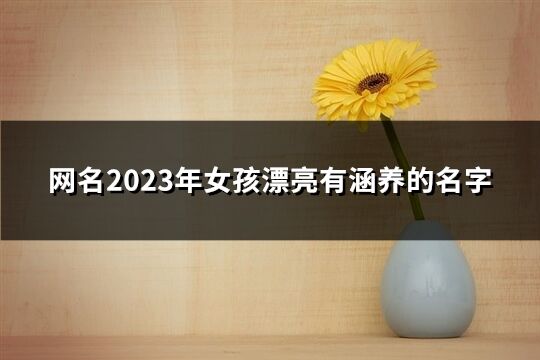 网名2023年女孩漂亮有涵养的名字(优选120个)