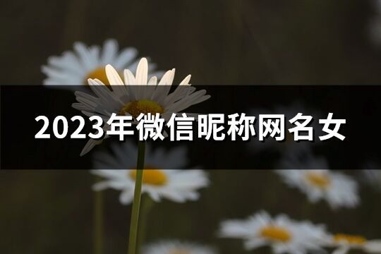 2023年微信昵称网名女(优选1202个)