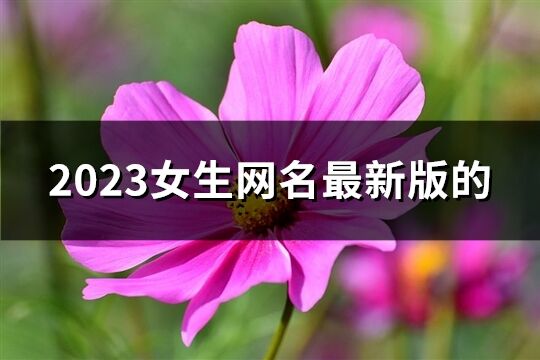 2023女生网名最新版的(精选1040个)