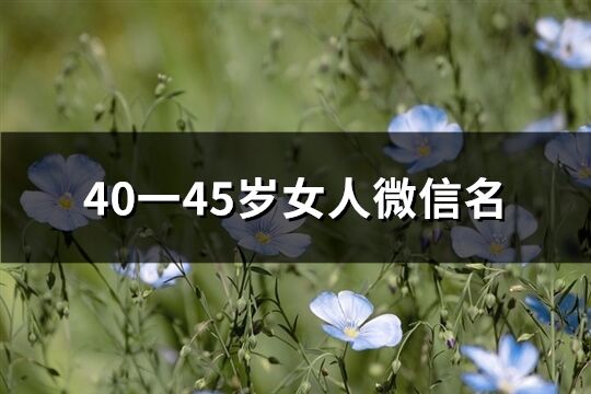 40一45岁女人微信名(560个)