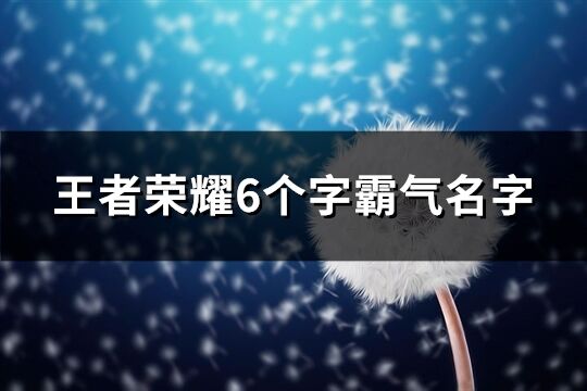 王者荣耀6个字霸气名字(优选446个)