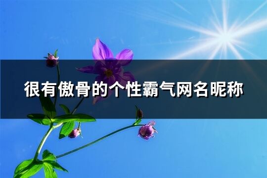 很有傲骨的个性霸气网名昵称(精选162个)