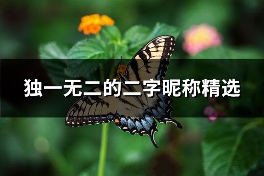 独一无二的二字昵称精选(优选1262个)