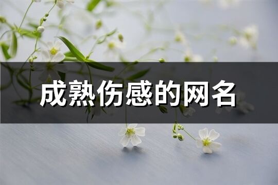 成熟伤感的网名(优选79个)