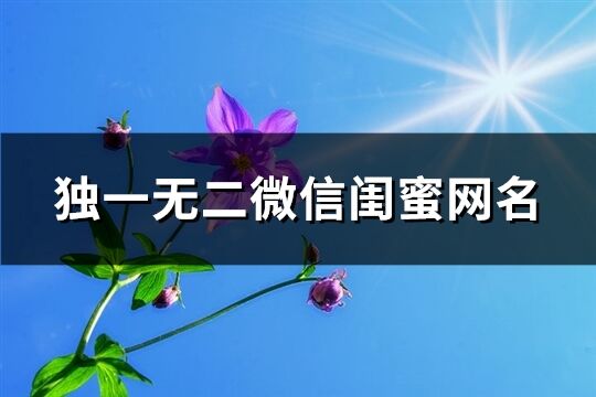 独一无二微信闺蜜网名(124个)