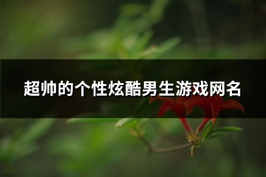 超帅的个性炫酷男生游戏网名(精选410个)