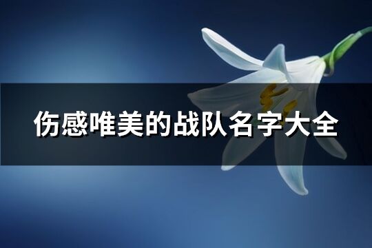 伤感唯美的战队名字大全(66个)