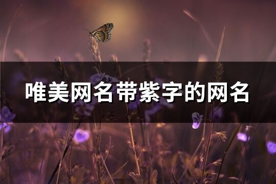 唯美网名带紫字的网名(精选91个)