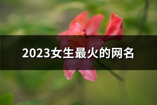 2023女生最火的网名(共807个)