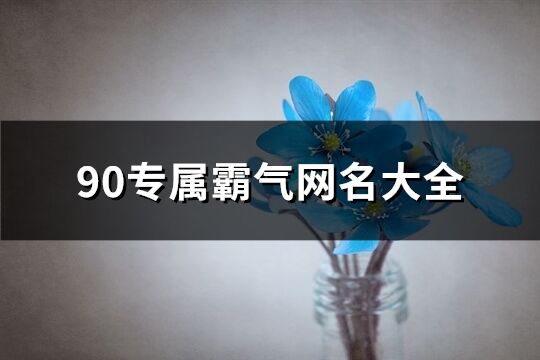 90专属霸气网名大全(共253个)