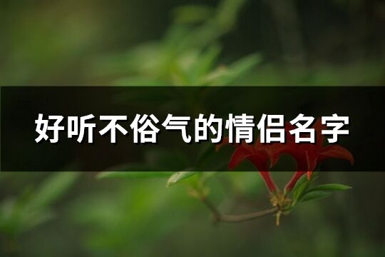 好听不俗气的情侣名字(优选82个)