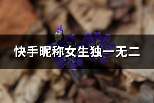 快手昵称女生独一无二(265个)