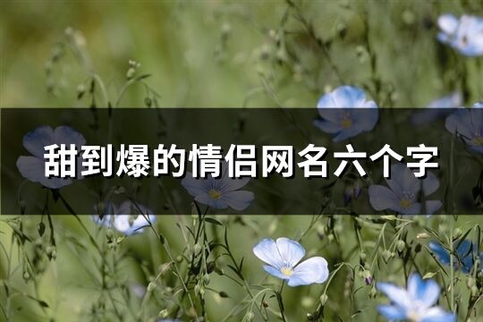 甜到爆的情侣网名六个字(精选149个)