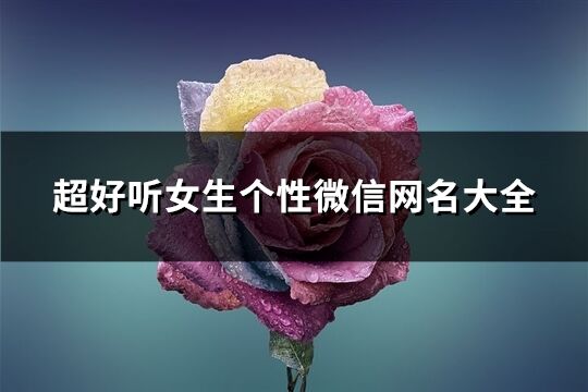 超好听女生个性微信网名大全(精选719个)