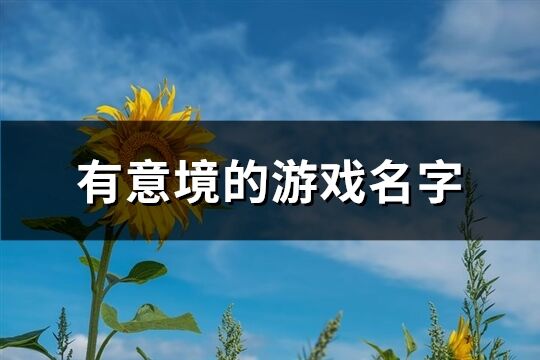 有意境的游戏名字(共759个)