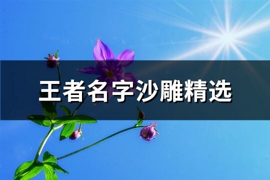 王者名字沙雕精选(优选339个)