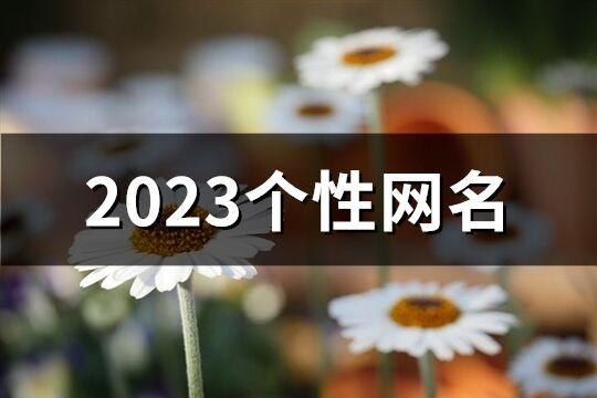 2023个性网名(优选1722个)