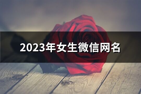 2023年女生微信网名(共1049个)