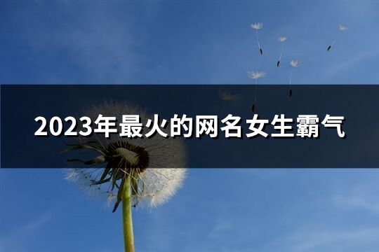 2023年最火的网名女生霸气(优选768个)