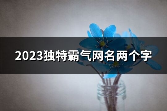 2023独特霸气网名两个字(743个)