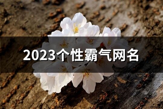 2023个性霸气网名(精选612个)