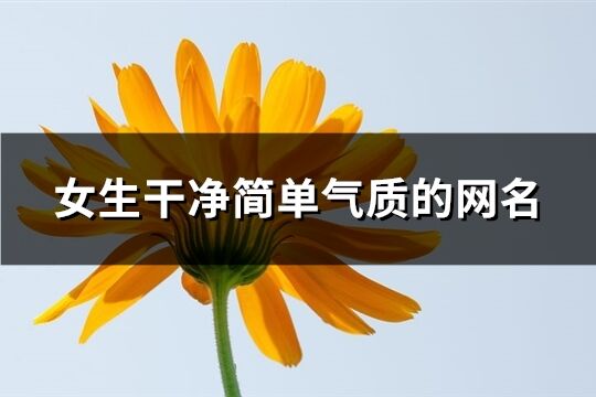 女生干净简单气质的网名(精选515个)