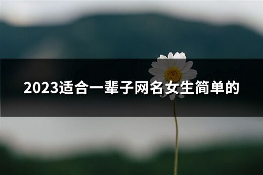 2023适合一辈子网名女生简单的(共658个)