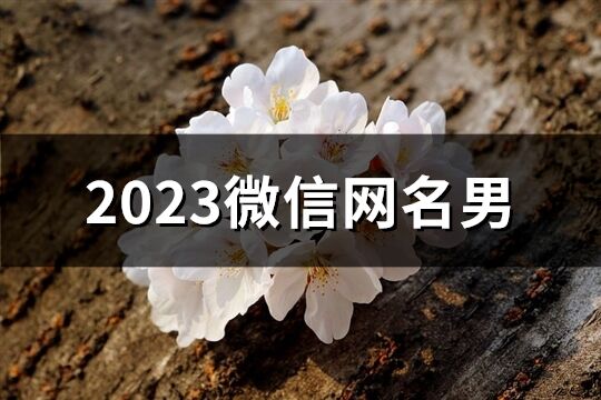 2023微信网名男(精选1662个)