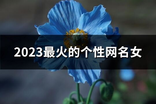 2023最火的个性网名女(精选1181个)