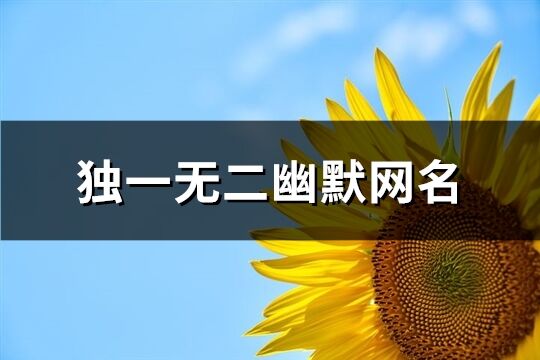 独一无二幽默网名(优选178个)