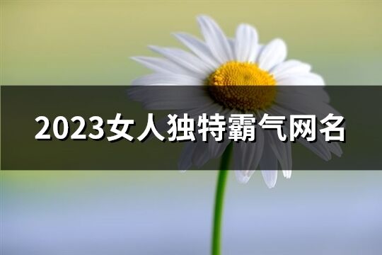 2023女人独特霸气网名(精选581个)