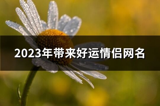 2023年带来好运情侣网名(优选314个)