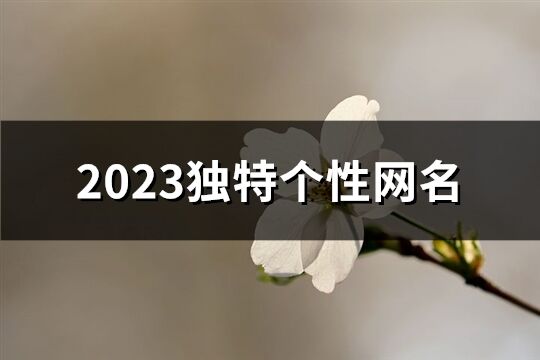 2023独特个性网名(721个)